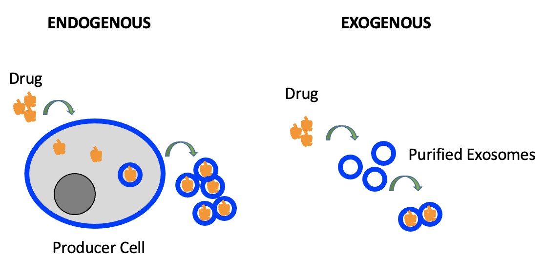 DOI：10.1038/s41556-018-0250-9